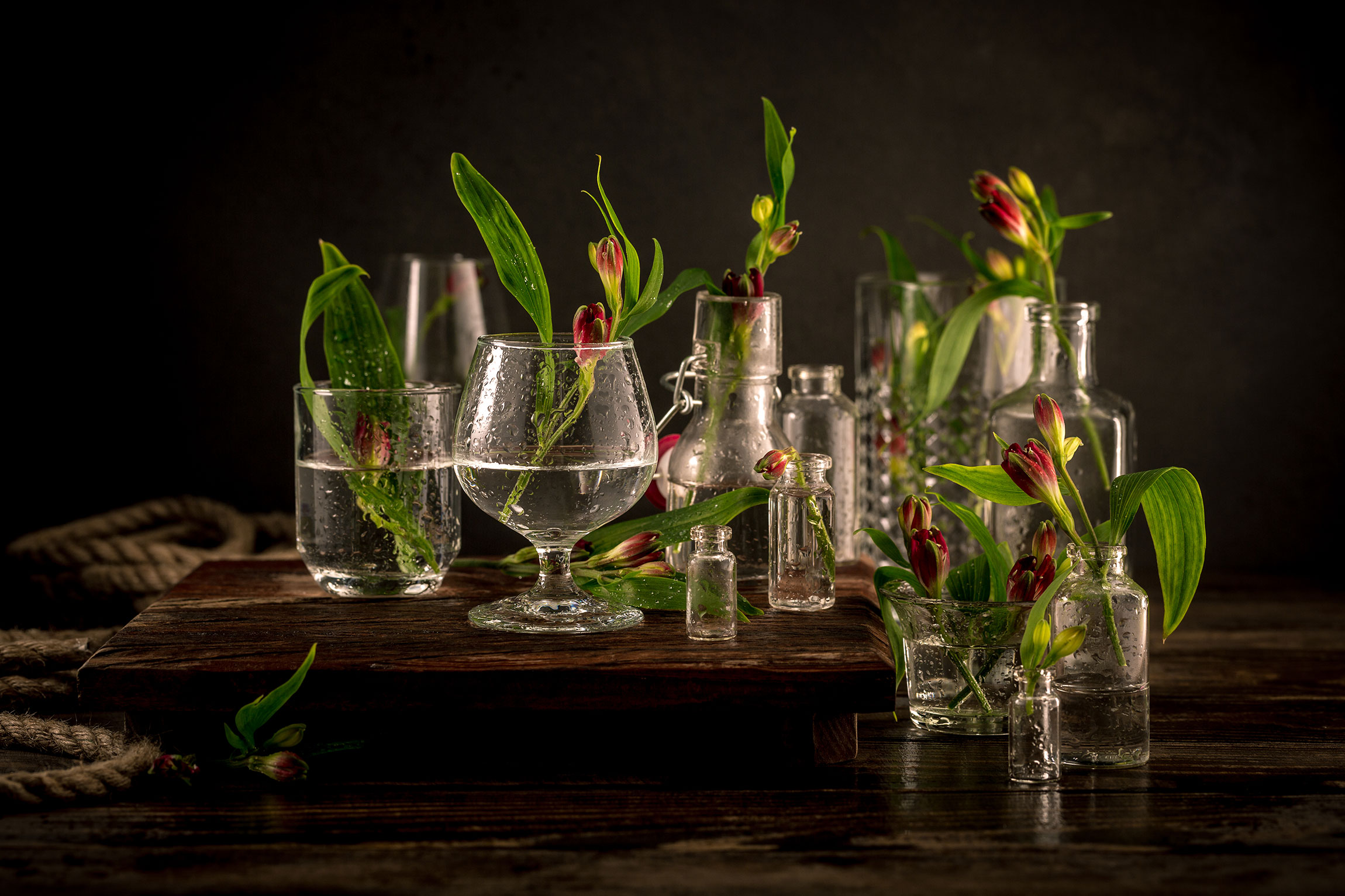 Produção de vermutes e bitters: curso intensivo